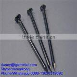 Common Nails Manufacturer CN-015D