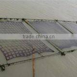 Shanghai EHAO International Trading Co., Ltd. company overview - view 3 thumbnail