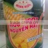 Canned sweet corn in 3100ml tins