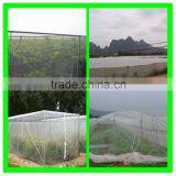 Suntex Virgin HDPE Anti-insect Mesh Netting for Cultivation of Flowers thumbnail-5