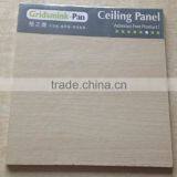 PVC Fireproof Fiber Cement Ceiling thumbnail-2