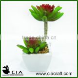 PVC White Fake Ceramic Potted Plant Mini Succulent in Square Bonsai Pot