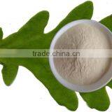 Natural Mushroom chitosan for diet supplement