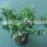 Beauty Hand-made Artificial Leaf Flower for Decoration thumbnail-1