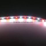 RGBW Double Row SMD5050 SMD3528 Waterproof Led Strip Light thumbnail-4