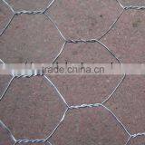 Hot Dipped Galvanized Lobster Trap