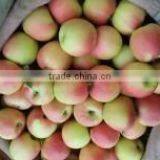 Fresh Red Gala Apple thumbnail-5