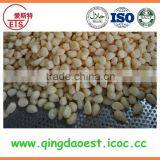 New Crop Garlic in Brine From Chinese Factory thumbnail-4