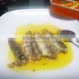 Canned Sardine in Oil thumbnail-1