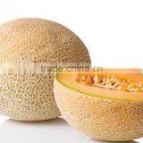 Strong Growth Anti Wilt Disease Melon Seeds Hybrid Melon Seeds Yellow Moon thumbnail-1