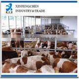 Hot Dipped Galvanized Livestock Equipment--cattle Equipment thumbnail-1