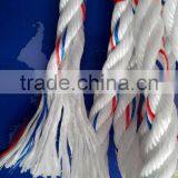 High Quality Danline Rope Competitive Price thumbnail-1