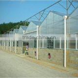 Good Daylighting Glasshouse Big Shed,greenhouse for Agriculture,frp Hothouses From Suppliers