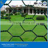 Protecting Fencing PVC Coated Chain Link Fence thumbnail-1