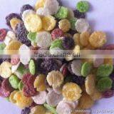 Best Price Super Quality Breakfast Corn Flakes Machine thumbnail-6