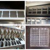 Egg Tray Mold,mould,tooling,die,molds thumbnail-2