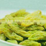 Commercial Fruit Dehydrator thumbnail-1