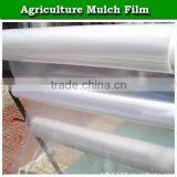 Agriculture Perforated Plastic Mulch Film Price thumbnail-2