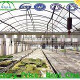China Commercial Used Greenhouse Frames for Sale thumbnail-2