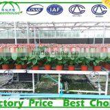 Agriculture Greenhouse Rolling Bench thumbnail-4