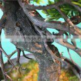 Home Garden Decoration 50cm to 160 cm Hight Small Indoor Canadian Artificial Green Pot Plastic Similar Pine Trees ELSPZ02 0903 thumbnail-5