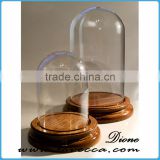 High quality display dome wholesale glass dome with wooden base