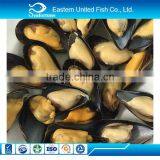 New Arrival Frozen Chinese Origin Mussel thumbnail-1