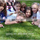 Low Price of Artificial Grass Direct With High Quality thumbnail-1