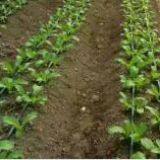 Lai Wu Sweet Dew Water Saving Equipment Co.ltd company overview - view 3 thumbnail