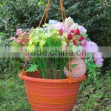 Plastic Flower Pot thumbnail-5