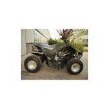 China (Mainland) All Terrain Vehicle thumbnail-1