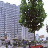 Shandong XY International Trade Co., LTD company overview - view 1 thumbnail