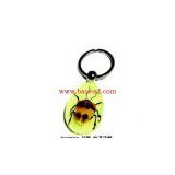 Real Insect Amber Keychain,bug keyring(crafts,gifts,souvenir ,novelties,gift promotion)