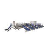 Automatic Fruit Washing Waxing and Sorting Machine thumbnail-3