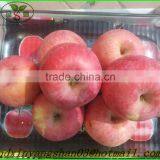 Bright Red Fresh Apple/Outstanding Chinese Exporters thumbnail-2