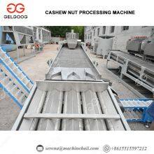 Kaju Processing Machine Automatic Cashew Nut Shelling Machine Automatic Cashew Nut Processing Plant