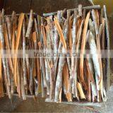 SPLIT CASSIA HOTEST IN NEW CROP 2015