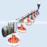 Farm Automatic Feeding Systm for Chicken