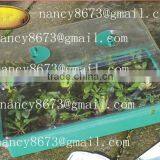 Flower Garden Greenhouse thumbnail-4