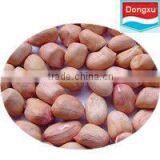 Brand Peanut Kernels Baisha 40/50