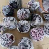 Fresh Cabbage thumbnail-3