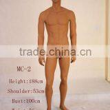Male Mannequin.