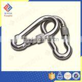 Superior Quality Standard DIN5299 D ring Carabiner Bulk with Screw