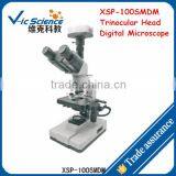XSP-100SMDM Trinocular Head Digital Microscope