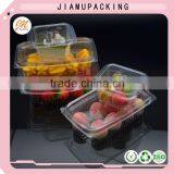 Rigid Plastic PET Food Packaging Contianer