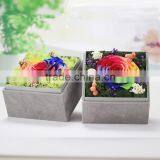 2016 Yiwu Aimee Wholesale Fresh Colorful Preserved Flower(AM-PF01) thumbnail-3