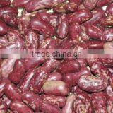 Kidney Bean/Red Speckled Kidney Bean thumbnail-1
