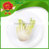 FRESH FENNEL thumbnail-5