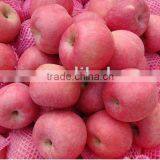 Fuji Apple for India Market
