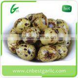 Fresh Quail Eggs Export India thumbnail-3